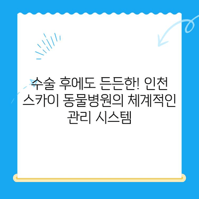 인천 스카이 동물병원 수술 후기| 반려동물의 건강한 회복 이야기 | 수술 후기, 동물병원 추천, 인천 동물병원