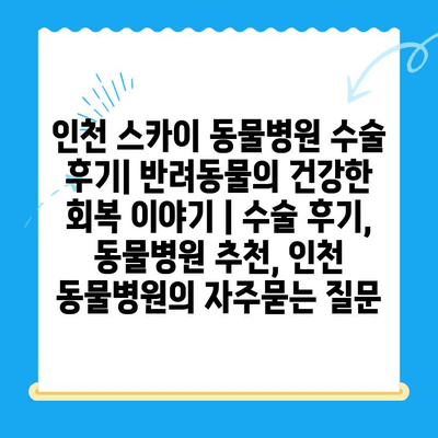 인천 스카이 동물병원 수술 후기| 반려동물의 건강한 회복 이야기 | 수술 후기, 동물병원 추천, 인천 동물병원