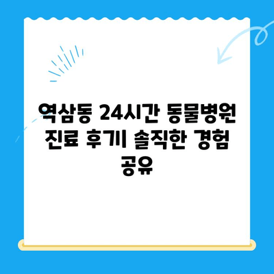 역삼동 24시간 동물병원 진료 후기| 솔직한 경험 공유 | 반려동물, 응급진료, 야간진료, 추천