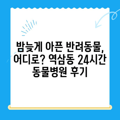 역삼동 24시간 동물병원 진료 후기| 솔직한 경험 공유 | 반려동물, 응급진료, 야간진료, 추천