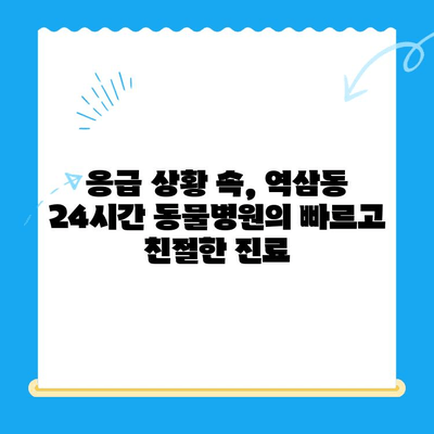 역삼동 24시간 동물병원 진료 후기| 솔직한 경험 공유 | 반려동물, 응급진료, 야간진료, 추천