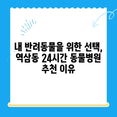 역삼동 24시간 동물병원 진료 후기| 솔직한 경험 공유 | 반려동물, 응급진료, 야간진료, 추천