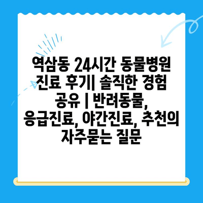 역삼동 24시간 동물병원 진료 후기| 솔직한 경험 공유 | 반려동물, 응급진료, 야간진료, 추천