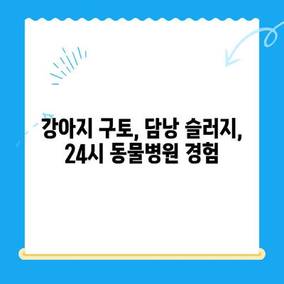 강아지 구토 후 초음파 검사 & 담낭 슬러지 치료 후기| 24시 동물병원 경험 | 강아지 구토, 담낭 슬러지, 초음파 검사, 동물병원 후기