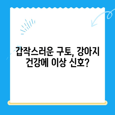 강아지 구토 후 초음파 검사 & 담낭 슬러지 치료 후기| 24시 동물병원 경험 | 강아지 구토, 담낭 슬러지, 초음파 검사, 동물병원 후기