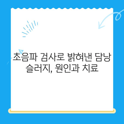 강아지 구토 후 초음파 검사 & 담낭 슬러지 치료 후기| 24시 동물병원 경험 | 강아지 구토, 담낭 슬러지, 초음파 검사, 동물병원 후기