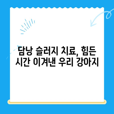 강아지 구토 후 초음파 검사 & 담낭 슬러지 치료 후기| 24시 동물병원 경험 | 강아지 구토, 담낭 슬러지, 초음파 검사, 동물병원 후기