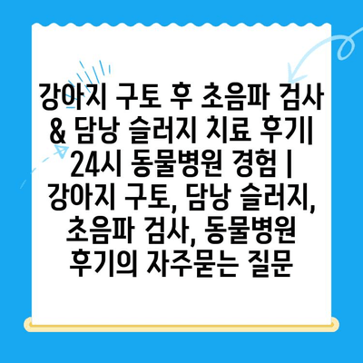 강아지 구토 후 초음파 검사 & 담낭 슬러지 치료 후기| 24시 동물병원 경험 | 강아지 구토, 담낭 슬러지, 초음파 검사, 동물병원 후기