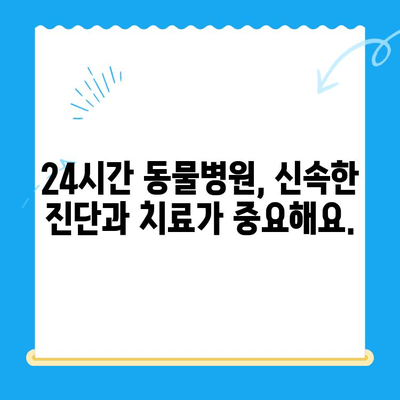 고양이 뼈 부러짐| 24시간 동물병원에서의 긴급 처치와 회복 과정 | 응급처치, 치료, 수술, 재활, 팁