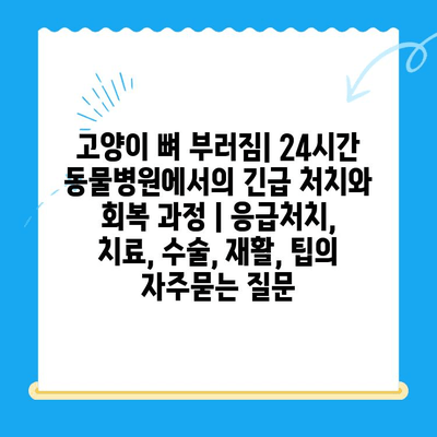 고양이 뼈 부러짐| 24시간 동물병원에서의 긴급 처치와 회복 과정 | 응급처치, 치료, 수술, 재활, 팁