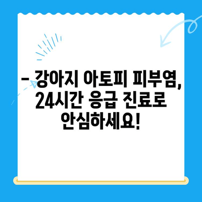 강아지 아토피 피부염, 24시 동물병원에서 해결하세요! | 증상, 치료, 관리, 24시간 응급 진료