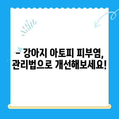 강아지 아토피 피부염, 24시 동물병원에서 해결하세요! | 증상, 치료, 관리, 24시간 응급 진료