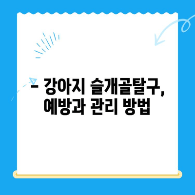 강아지 슬개골탈구 24시 수술 케이스| 성공적인 수술과 회복 위한 솔루션 | 슬개골탈구, 수술, 재활, 강아지 건강