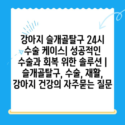 강아지 슬개골탈구 24시 수술 케이스| 성공적인 수술과 회복 위한 솔루션 | 슬개골탈구, 수술, 재활, 강아지 건강