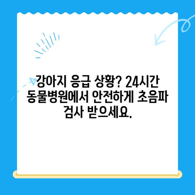 24시간 동물병원에서 강아지 초음파 검사 및 치료| 안전하고 신속한 진료 받는 방법 |  강아지 초음파, 응급 동물병원, 야간 진료