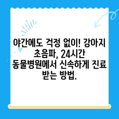 24시간 동물병원에서 강아지 초음파 검사 및 치료| 안전하고 신속한 진료 받는 방법 |  강아지 초음파, 응급 동물병원, 야간 진료