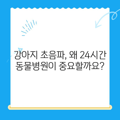 24시간 동물병원에서 강아지 초음파 검사 및 치료| 안전하고 신속한 진료 받는 방법 |  강아지 초음파, 응급 동물병원, 야간 진료