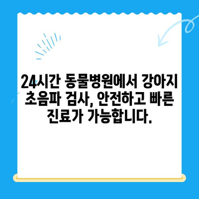 24시간 동물병원에서 강아지 초음파 검사 및 치료| 안전하고 신속한 진료 받는 방법 |  강아지 초음파, 응급 동물병원, 야간 진료