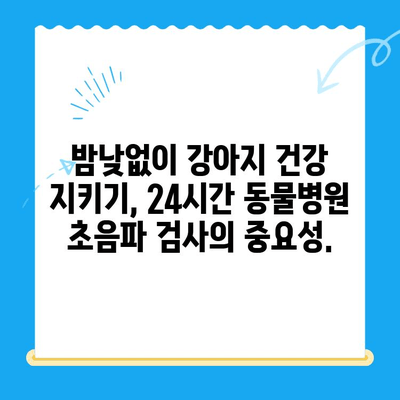 24시간 동물병원에서 강아지 초음파 검사 및 치료| 안전하고 신속한 진료 받는 방법 |  강아지 초음파, 응급 동물병원, 야간 진료