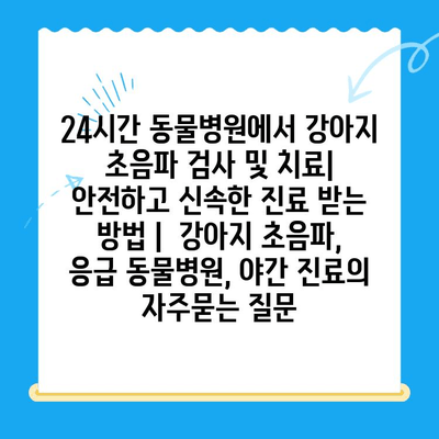 24시간 동물병원에서 강아지 초음파 검사 및 치료| 안전하고 신속한 진료 받는 방법 |  강아지 초음파, 응급 동물병원, 야간 진료