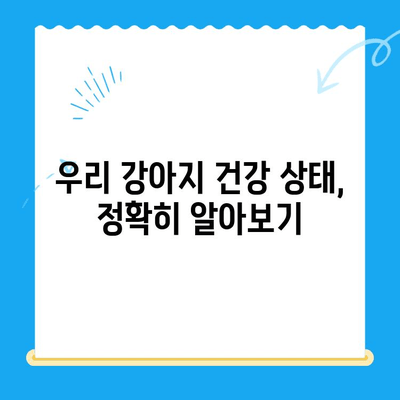 대전 24시 동물병원 타임 동물메디컬센터 강아지 건강검진 체험 후기| 솔직한 경험 공유 | 강아지 건강검진, 대전 동물병원, 타임 동물메디컬센터