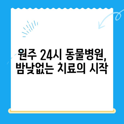 원주 24시 동물병원 강아지 사지마비 치료 후기| 희망을 찾은 이야기 | 사지마비, 재활, 치료 경험, 동물병원 후기
