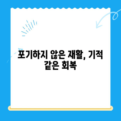 원주 24시 동물병원 강아지 사지마비 치료 후기| 희망을 찾은 이야기 | 사지마비, 재활, 치료 경험, 동물병원 후기