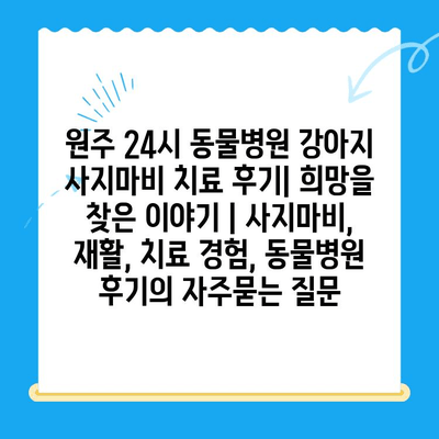 원주 24시 동물병원 강아지 사지마비 치료 후기| 희망을 찾은 이야기 | 사지마비, 재활, 치료 경험, 동물병원 후기