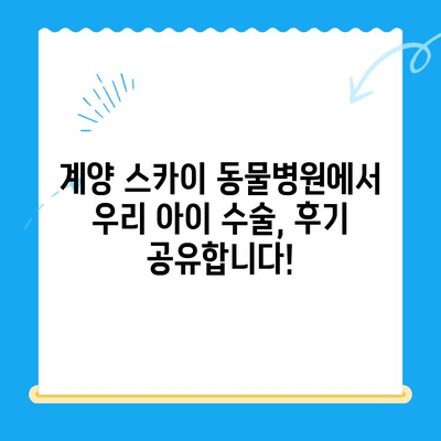 인천 동물병원 24시 계양 스카이 수술 후기| 🐶🐱 반려동물 건강 지킴이! | 인천, 24시 동물병원, 계양구, 스카이 동물병원, 수술 후기, 만족 후기