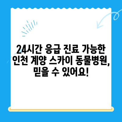 인천 동물병원 24시 계양 스카이 수술 후기| 🐶🐱 반려동물 건강 지킴이! | 인천, 24시 동물병원, 계양구, 스카이 동물병원, 수술 후기, 만족 후기