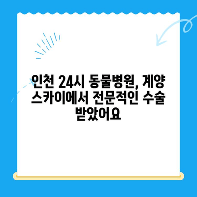 인천 동물병원 24시 계양 스카이 수술 후기| 🐶🐱 반려동물 건강 지킴이! | 인천, 24시 동물병원, 계양구, 스카이 동물병원, 수술 후기, 만족 후기