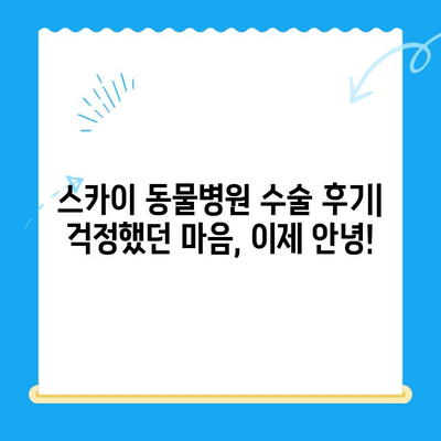 인천 동물병원 24시 계양 스카이 수술 후기| 🐶🐱 반려동물 건강 지킴이! | 인천, 24시 동물병원, 계양구, 스카이 동물병원, 수술 후기, 만족 후기