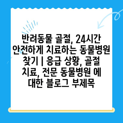 반려동물 골절, 24시간 안전하게 치료하는 동물병원 찾기 | 응급 상황, 골절 치료, 전문 동물병원