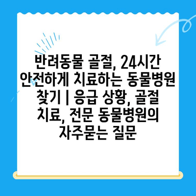 반려동물 골절, 24시간 안전하게 치료하는 동물병원 찾기 | 응급 상황, 골절 치료, 전문 동물병원