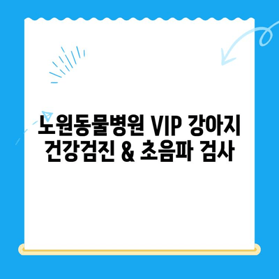 노원동물병원 VIP 강아지 건강검진 & 초음파 검사|  나만의 댕댕이, 건강하게 지켜주세요! |  프리미엄 건강 관리, 초음파 검사, 예약 안내