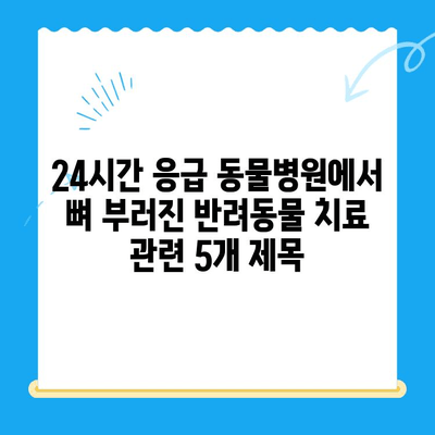 24시간 응급 동물병원에서 뼈 부러진 반려동물 치료| 응급 상황 대처 가이드 | 동물병원, 응급 치료, 골절, 반려동물