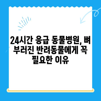 24시간 응급 동물병원에서 뼈 부러진 반려동물 치료| 응급 상황 대처 가이드 | 동물병원, 응급 치료, 골절, 반려동물
