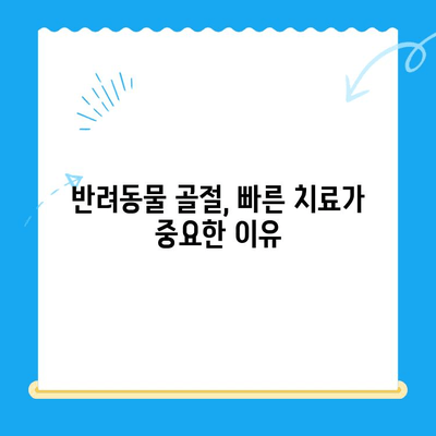 24시간 응급 동물병원에서 뼈 부러진 반려동물 치료| 응급 상황 대처 가이드 | 동물병원, 응급 치료, 골절, 반려동물