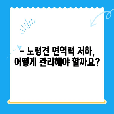 성북구 노견 강아지 면역력 검사 후기| 건강 지키기 위한 필수 정보 | 노견, 면역력, 건강검진, 성북구 동물병원