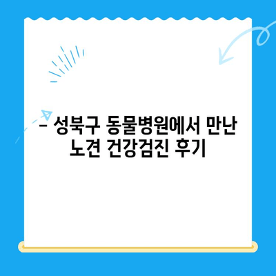 성북구 노견 강아지 면역력 검사 후기| 건강 지키기 위한 필수 정보 | 노견, 면역력, 건강검진, 성북구 동물병원