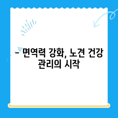 성북구 노견 강아지 면역력 검사 후기| 건강 지키기 위한 필수 정보 | 노견, 면역력, 건강검진, 성북구 동물병원