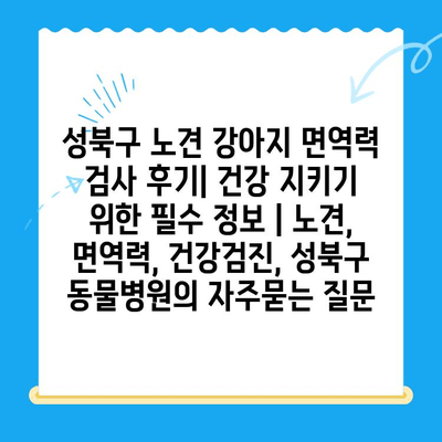 성북구 노견 강아지 면역력 검사 후기| 건강 지키기 위한 필수 정보 | 노견, 면역력, 건강검진, 성북구 동물병원