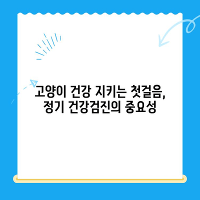 24시 폴 동물병원| 고양이 건강검진의 중요성과 필수 항목 | 고양이 건강, 건강검진, 동물병원, 24시 운영