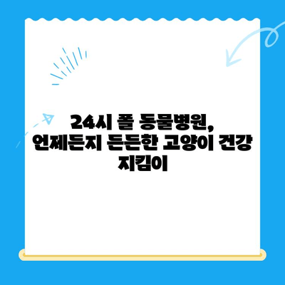 24시 폴 동물병원| 고양이 건강검진의 중요성과 필수 항목 | 고양이 건강, 건강검진, 동물병원, 24시 운영