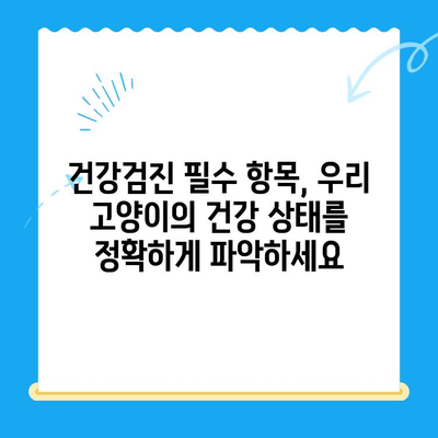 24시 폴 동물병원| 고양이 건강검진의 중요성과 필수 항목 | 고양이 건강, 건강검진, 동물병원, 24시 운영