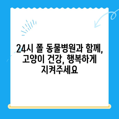 24시 폴 동물병원| 고양이 건강검진의 중요성과 필수 항목 | 고양이 건강, 건강검진, 동물병원, 24시 운영