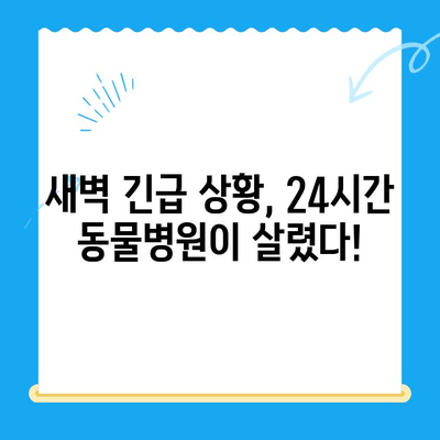 24시간 동물병원 고양이 심장진료 후기| 긴급 상황 대처 및 치료 경험 공유 | 심장병, 야간 응급, 동물병원 추천