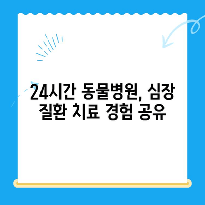 24시간 동물병원 고양이 심장진료 후기| 긴급 상황 대처 및 치료 경험 공유 | 심장병, 야간 응급, 동물병원 추천