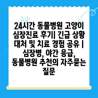 24시간 동물병원 고양이 심장진료 후기| 긴급 상황 대처 및 치료 경험 공유 | 심장병, 야간 응급, 동물병원 추천