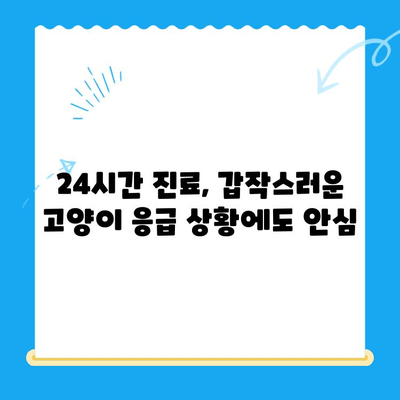 24시간 폴 동물병원 고양이 건강검진 특집| 꼼꼼한 검사 항목 & 건강 관리 팁 | 고양이 건강, 건강검진, 동물병원, 폴 동물병원